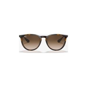 Ray Bans Erika Classic sunglasses